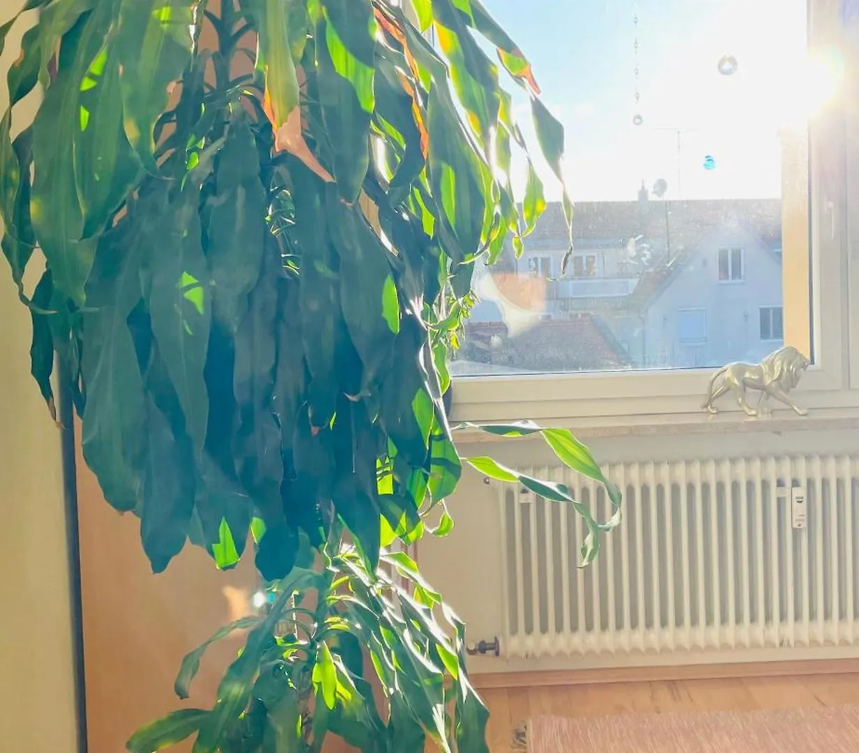 Ruheoase Im Herzen Von Muenchen 0*, München